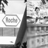 跨國醫(yī)藥巨頭：夢想能否變成現(xiàn)實？